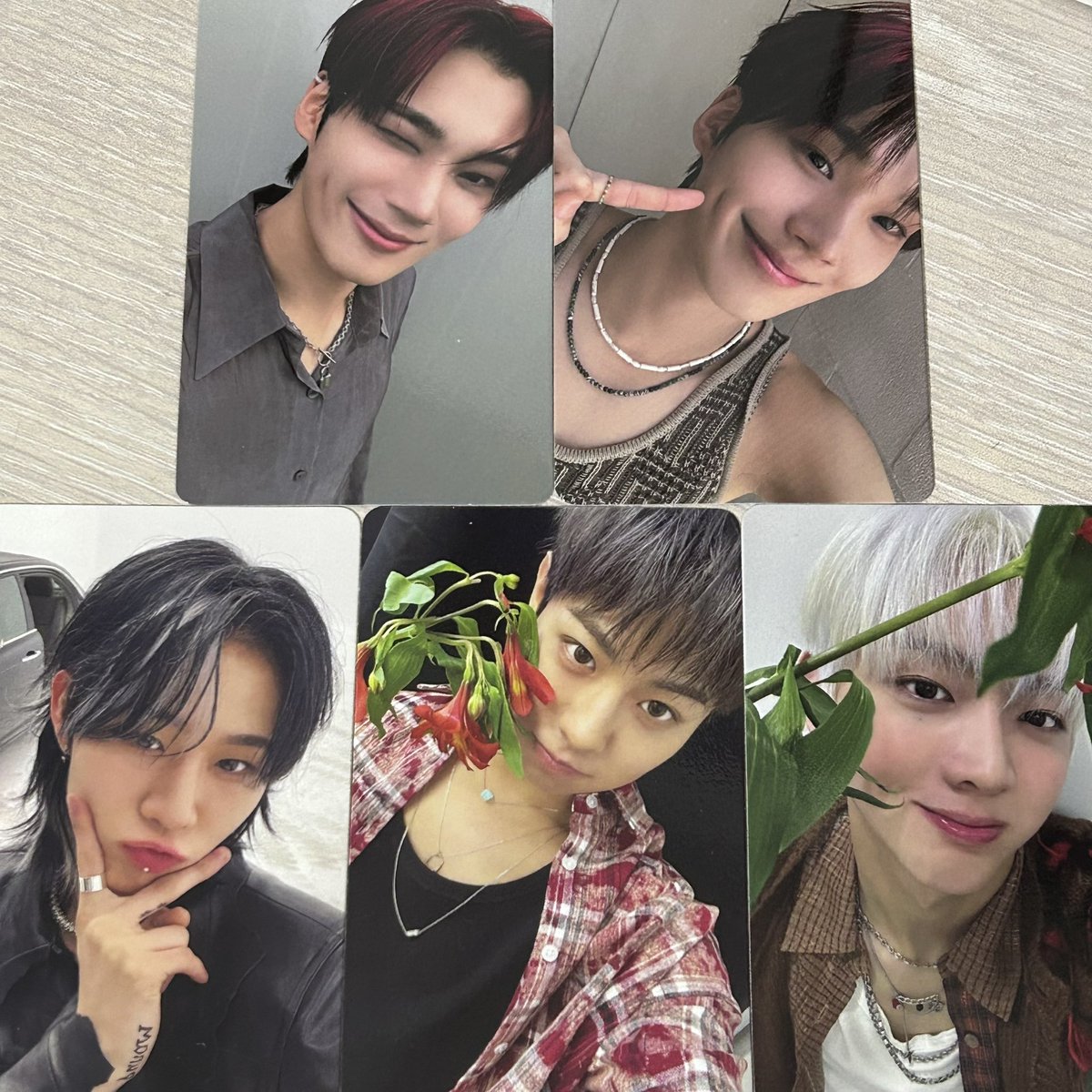 앨리샤 🐻‍❄️ tweet media