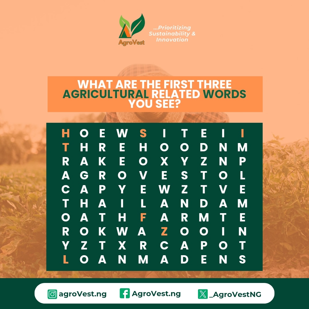 _AgroVestNG's tweet photo. Word Puzzle Game 💃

Can you spot the hidden words?

How many words can you find?

Share your answers in the comments below!

Let's see who can spot the most words

 #WordPuzzle #WordSearch #BrainTeaser #Agricultureword #gametime #AgroVest https://t.co/pjP2TIXfTr