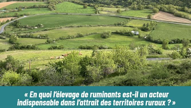 🚨 En quoi l'élevage de ruminants est-il un acteur indispensable dans l'attrait des territoires ruraux ?

#thread 🧵👇