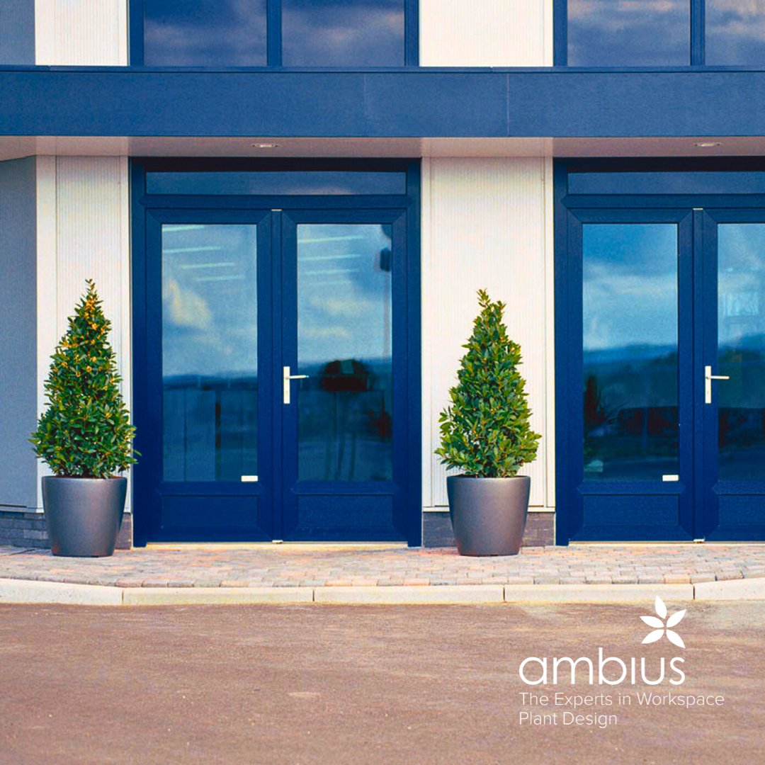 Ambius UK tweet media