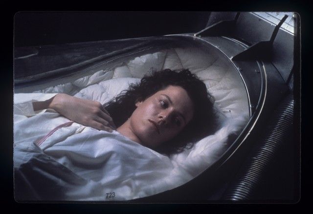 chazlip9's tweet photo. Photography and behind the scenes from Bob Penn Alien Diaries 

#BobPenn #AlienDiaries #BehindTheScenes #ProductionPhotography #PracticalEffects #VisualEffects #CharlitoProject https://t.co/fQq0eSm8c3