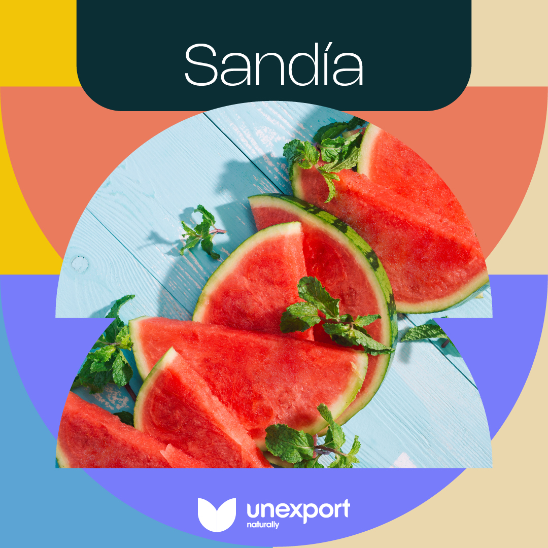 🍉💦 La sandía sin semilla está de temporada en Unexport. Seguimos con recolección diaria, nuestros socios nos proporcionan fruta de máxima calidad.

Consulta disponibilidad con nuestro departamento comercial.

#Sandía #Unexport #25Aniversario