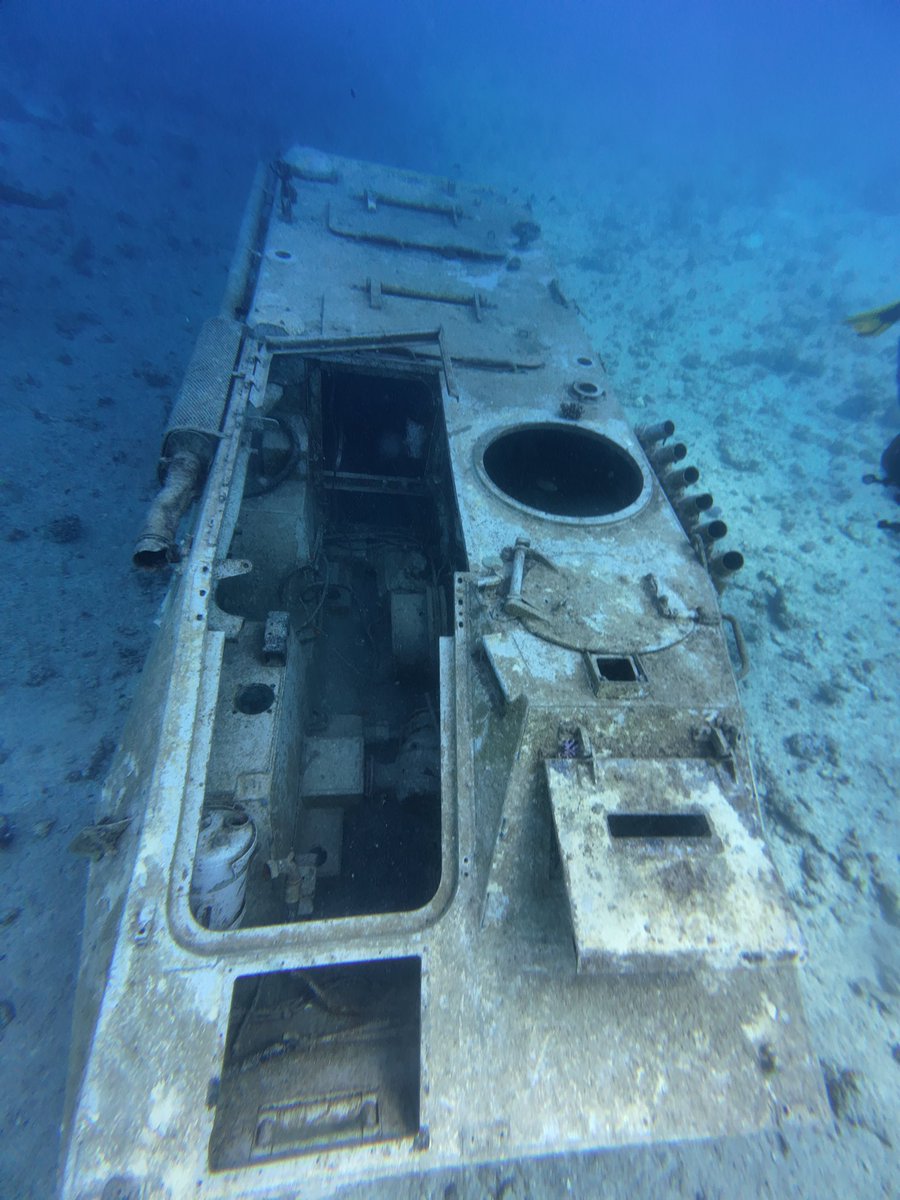 Underwater Military Museum 📸

#divinghistory #dive #divinglife #diving #life #redsea #egypt #hurghada  #sealife #archaeology #archaeological #libya #libya #padi