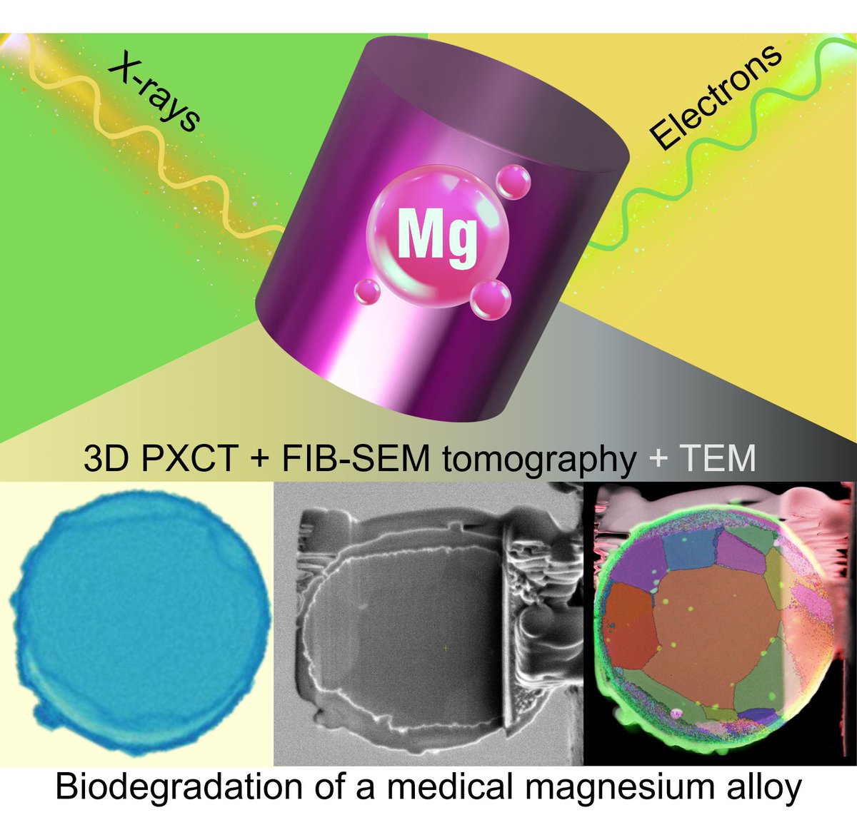 In doi.org/10.1002/adfm.2…, we present a new method of correlative 3D ptychographic X-ray computed tomography and analytical electron microscopy to quantitatively image magnesium biodegradation and mimic related in-situ conditions. @AdvSciNews, <a href="/ETH_Materials/">ETH Department of Materials</a>, <a href="/ETH_en/">ETH Zurich</a>, <a href="/psich_en/">PSI Paul Scherrer Institut</a>