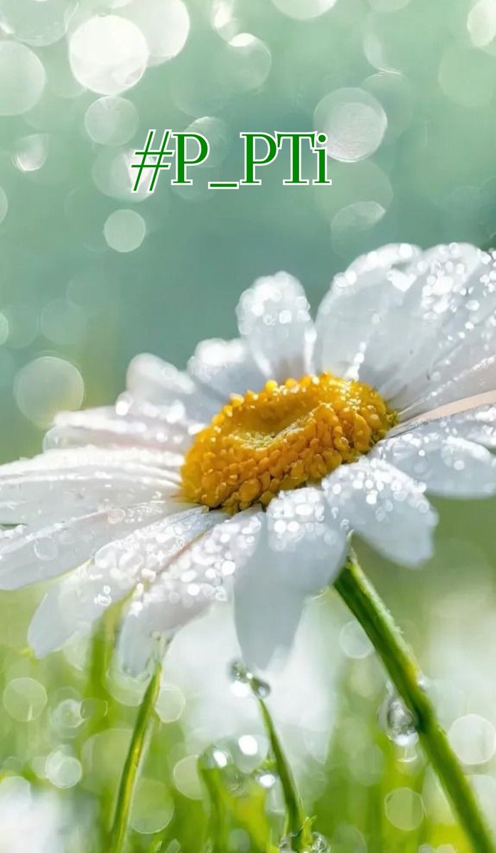 #P_PTi  <a href="/P_PTi1/">꧁•⊹٭ابو سلم٭⊹•꧂</a> 
<a href="/P_PTi2/">Nosheen #P_PTi✌️ᵀᵉᵃᵐᵂᵒᵏ</a> @NM_1K 
<a href="/As_t40/">EriKaCao</a> <a href="/Ik1N1/">𝐍𝐀𝐙𝐈𝐌.𝐀𝐋𝐈</a>
<a href="/1_sfa1/">Player</a> <a href="/Pir_80/">Pir Shb</a>
           
<a href="/Asjk2/">Muhammad Junaid Anwar</a> <a href="/I_G68/">𝐼𝐹𝒻𝒾 𝒢𝑜𝒩𝒟𝒶𝐿</a>
<a href="/87Aiza/">Aiza-PTI</a> <a href="/Y22NY/">YASEEN</a>
<a href="/Ik804_/">SNAP STAR</a> <a href="/R1_Adv/">Ridwan R1🇮🇩</a>
<a href="/1adann/">Adnan Choudhary</a> <a href="/shz787/">🌟⭐️🌟🌟sʜᴀʜᴢᴀᴅ ᴍᴜɴɪʀ🌟⭐️🌟⭐️</a>
 <a href="/M_ik84/">𝗠𝗨𝗡𝗧𝗔𝗛𝗔 𝗔𝗦𝗜𝗙🦋ᵗᵉᵃᵐᵗᵒᵏ</a> @Madi_h8
            
@_B_RANDON6 <a href="/ik_Rane/">Rani sahiba</a>
 @00munsif <a href="/Aa_ban1/">Gяїffїп'$ 🦅</a>
@Bn_gsh2 @_ALAN220
<a href="/CH_59_ALA/">CH ALAMGIR GUJJAR</a> <a href="/chanijhang/">Dr Fazal ur Rehman</a>  <a href="/CarloSportfan/">SportISmyLIFE ⚽⚾🏀🏐🏈🎾🎳🏏🏓⛳</a> <a href="/nbea_h/">#𝕾𝖚𝖕𝖊𝖗𝕱𝖗𝖎𝖊𝖓𝖉𝖘 #𝕿𝖔𝖕𝕱𝖗𝖎𝖊𝖓𝖉𝖘</a>