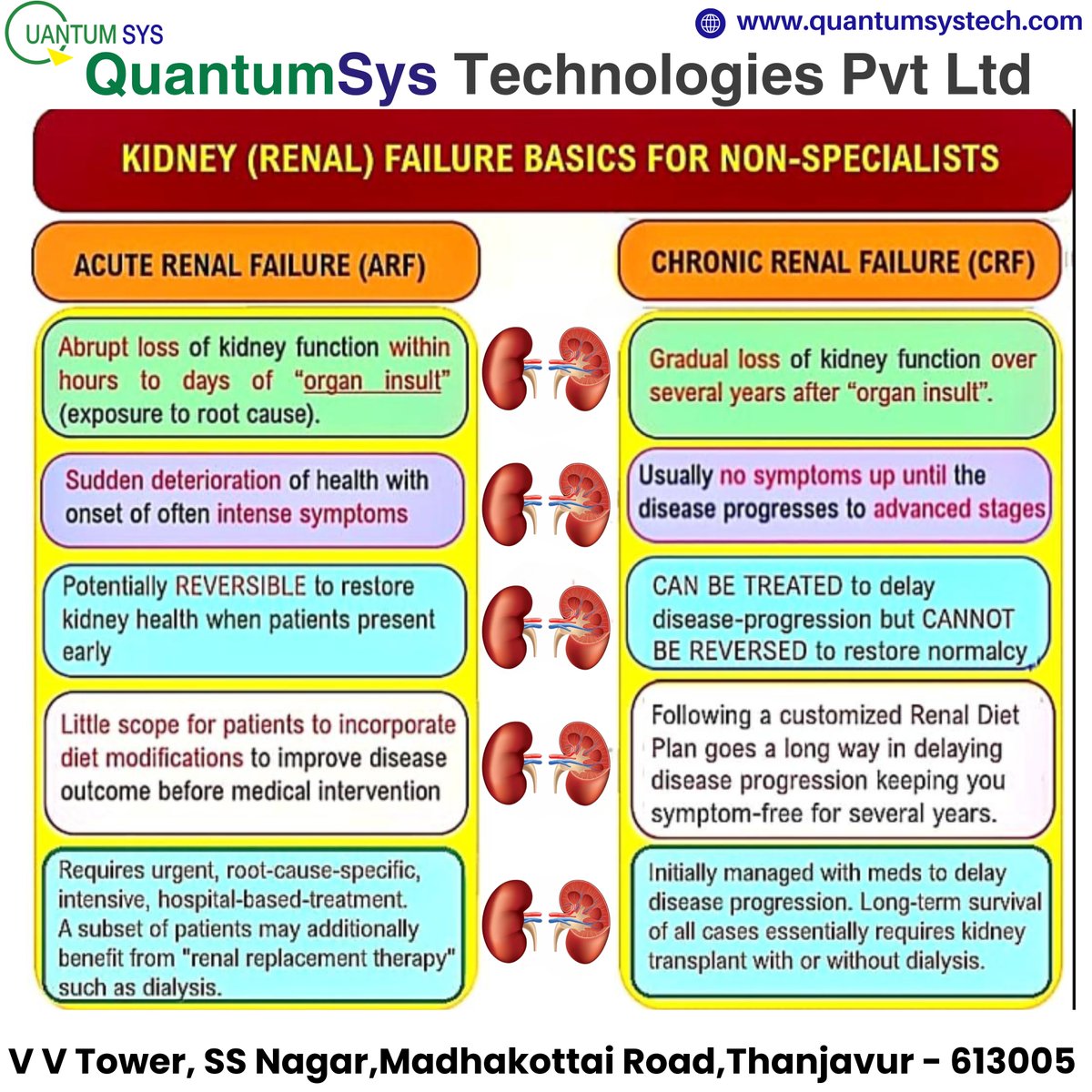 QuantumsysTech's tweet photo. Kidney failure, also known as renal failure, occurs when the kidneys are unable to function properly and remove waste and extra water from the blood. It can also prevent the body from maintaining chemical balance. Kidney failure can be acute or chronic:
#kidney #thanjavur https://t.co/cNmkKN7w1Y
