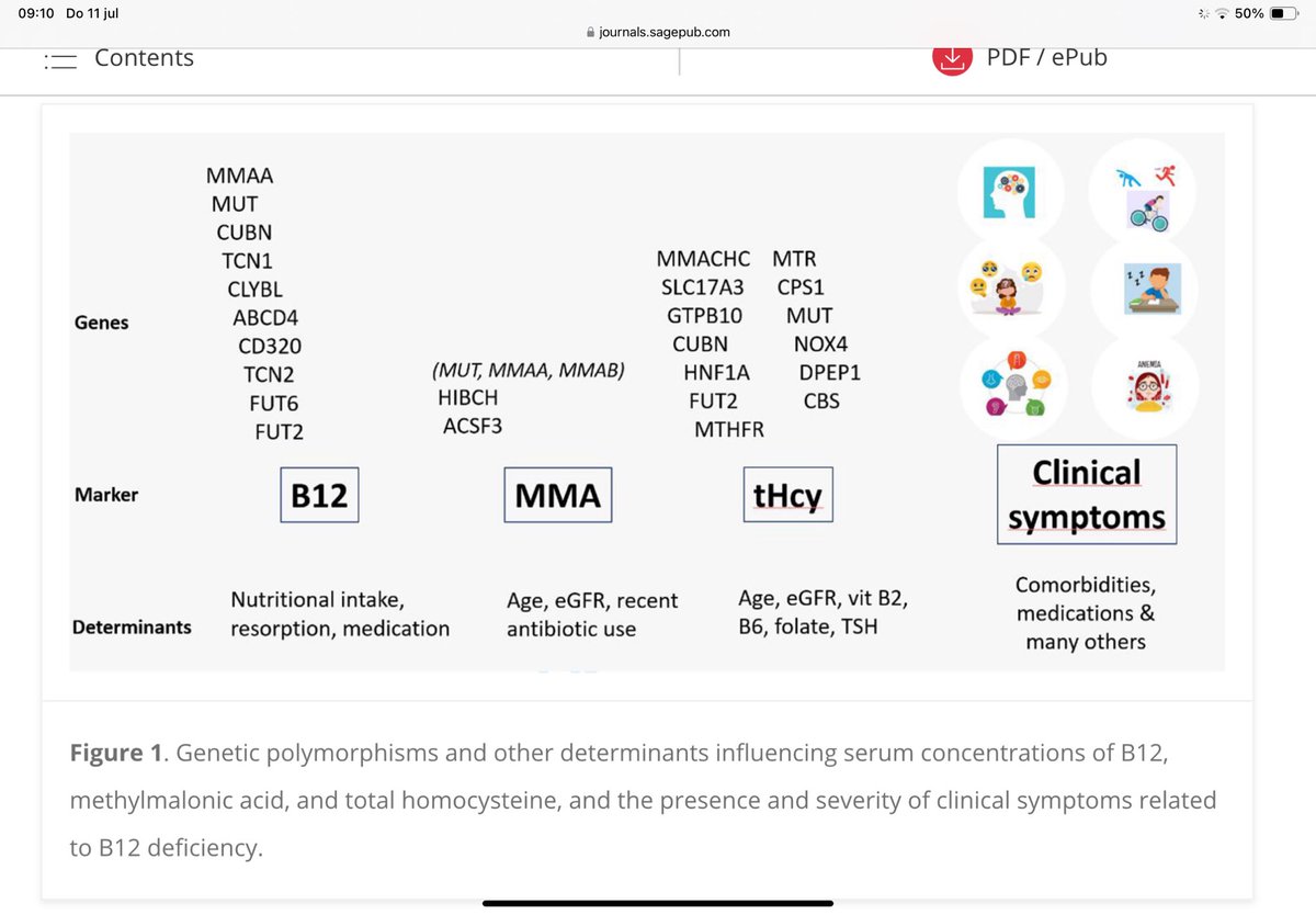 bhrw's tweet photo. A brief overview of the diagnosis and treatment of cobalamin (B12) deficiency - includes a description of genetic polymorphisms and other determinants of serum B12 concentrations, as well as best practice advices for B12 therapy.  https://t.co/ECnP1ZZBug https://t.co/6VcJ1jMDp3