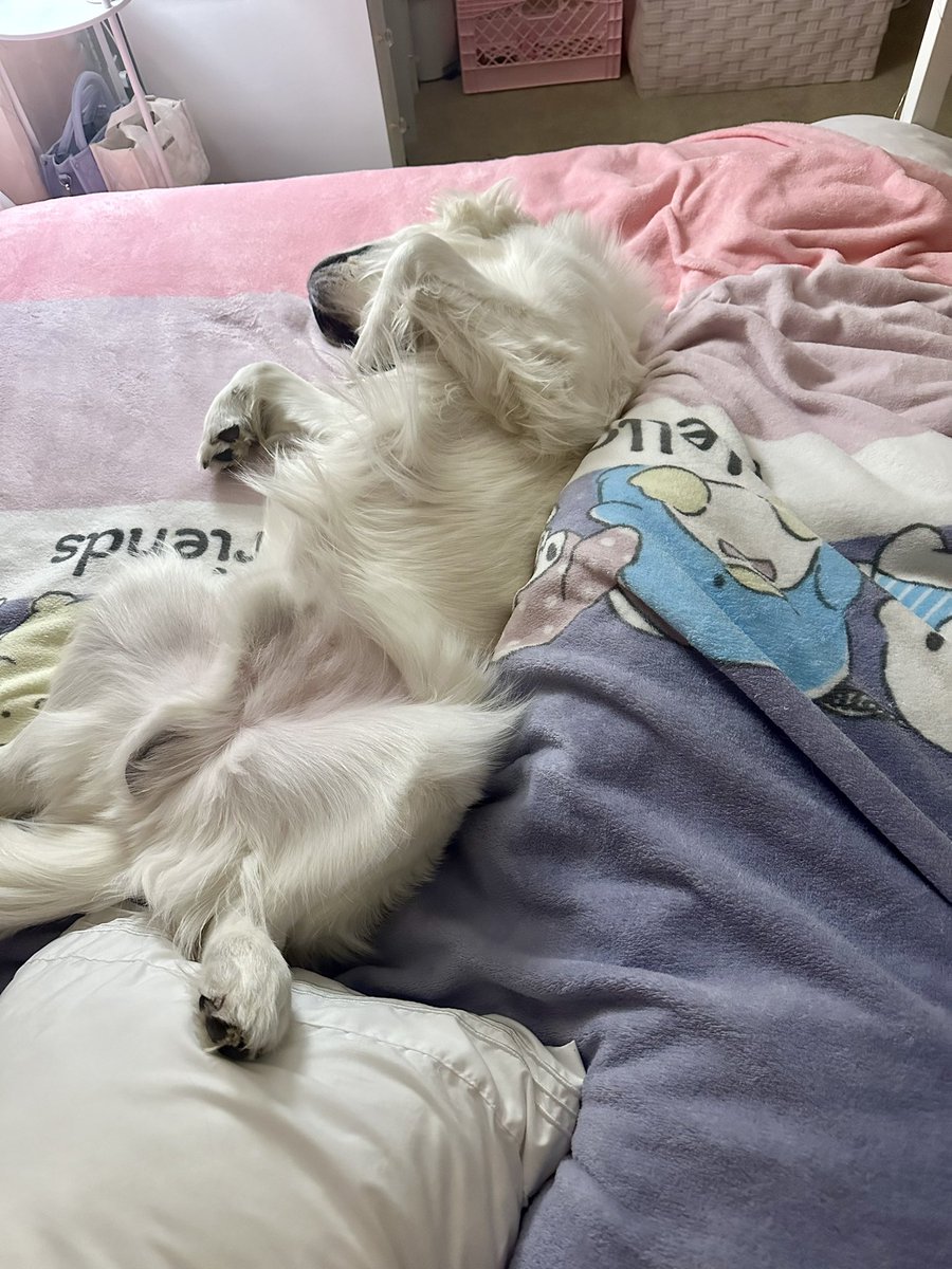 Content from lovablejessica