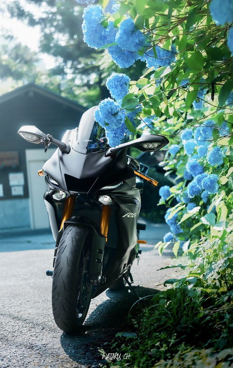 誕生日を迎えたので更新✨ 名前：WATARU 住み：東京 身長：180 愛車