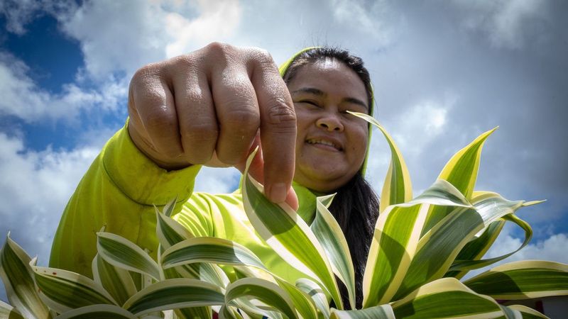 This week, our G3CC crew teamed up with the awesome Island Girl Power! We learned tons about their incredible youth &amp; environmental program, got our hands dirty creating agroforestry plots, and even planted some Dukduk trees (breadfruit) alongside the IGP team!