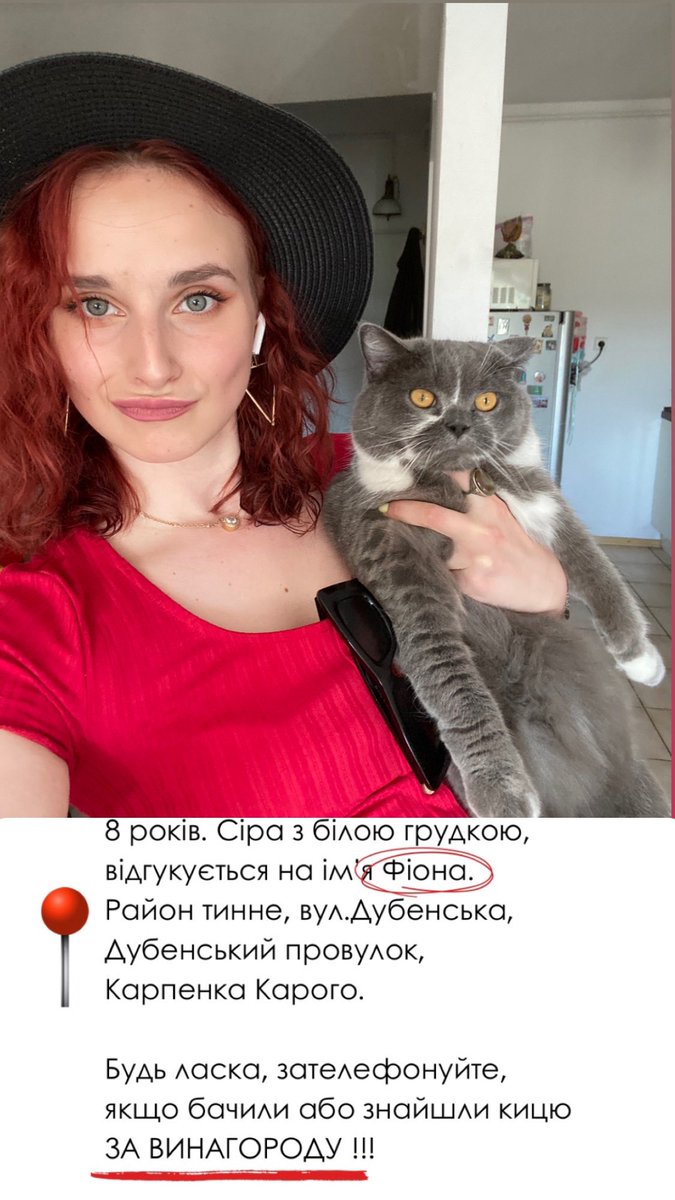 ШУКАЮ КИЦЮ. Рівне, район тинного

5й день пошуку. Скажіть мені хтось, що є ще надія 😭
Фіона, я так тебе люблю 💔