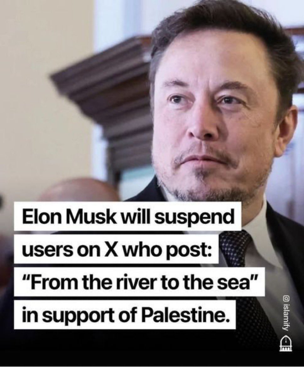 Robert Martin 🇵🇸 tweet media
