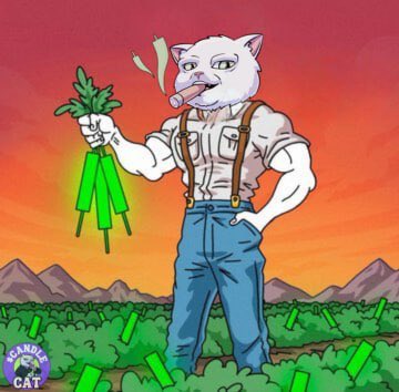 🌞 Good morning, everyone! Start your day like Candle Cat—confident, strong, and ready to take on the world! Whether you're facing challenges or cruising through, remember to keep your head high and your spirit unyielding. Let's make today a great one! 💪🐾 
$CANDLE VS $ZACK