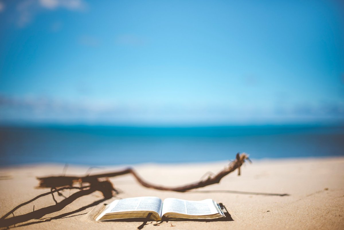 hetkanWel's tweet photo. Welke #boeken mogen deze #zomer niet ontbreken in je koffer? 📖 #Boekenwurm Lauri zet een mix van informatieve boeken en romans voor je op een rij! En heb je zelf #boekentips? Deel die dan in de comments, zo kunnen we elkaar weer inspireren. ✨
https://t.co/J9dttHzXWo https://t.co/SMVViLZmx8