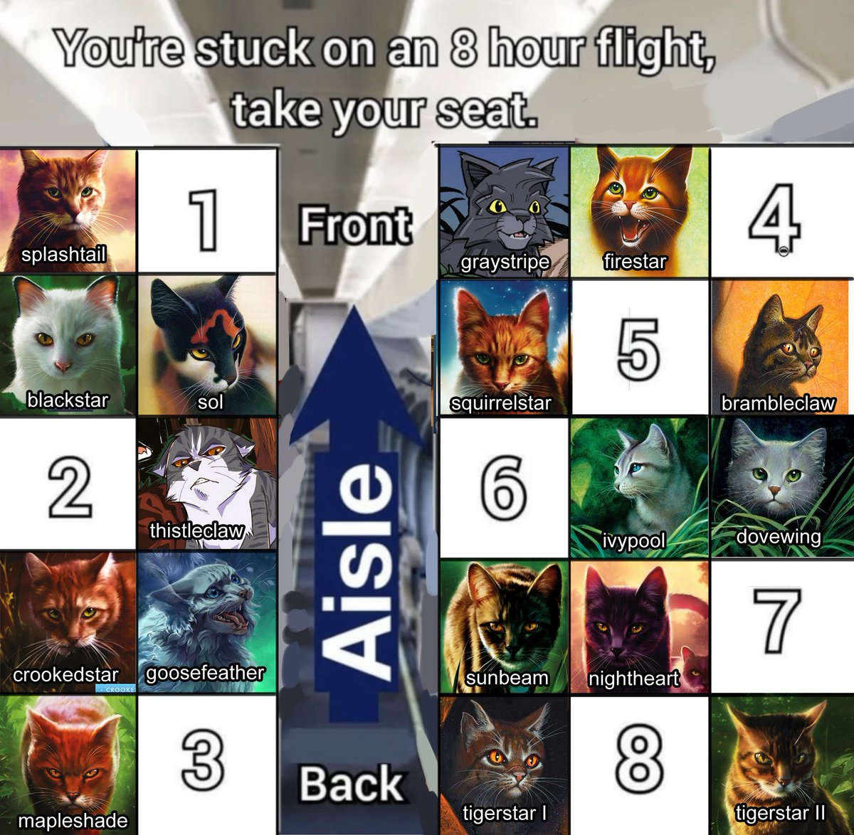 eviltweets725's tweet image. wc fans pretend its normal for there to be a bunch of cats on an airplane and tell me where youre sitting