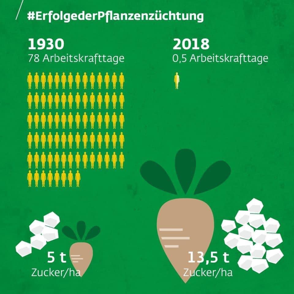 DialogBDP's tweet image. #Weltbevölkerungstag 🌎 Jede Minute werden 150 Menschen geboren, also jedes Jahr 80 Millionen. Die Herausforderung alle zu ernähren ist riesig und die Instrumente dieses Ziel zu erreichen komplex. Pflanzenzüchtung kann einen wichtigen Betrag leisten! die-pflanzenzuechter.de/herausforderun…