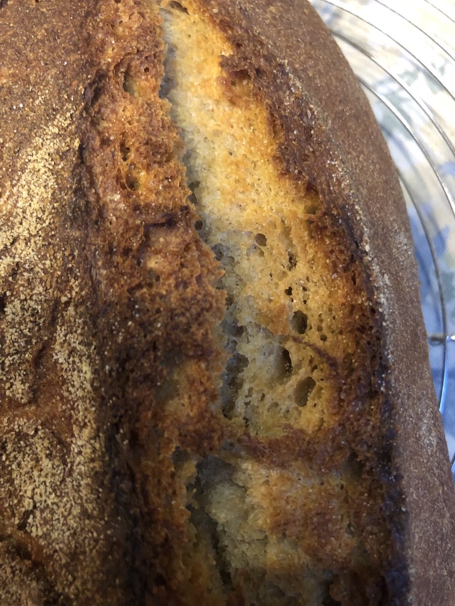 curvedway's tweet photo. #Sourdough loaf (Stiff starter)
100% #Khorasan - #Kamut flour from #Cucugnan https://t.co/52B9RRxTyL