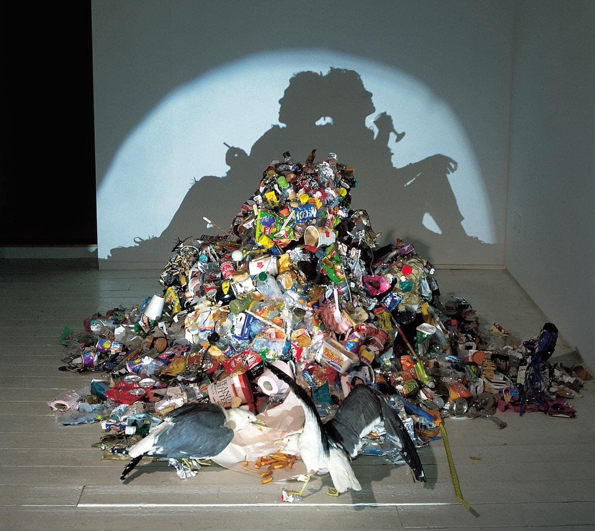 ambienteeuropeo's tweet photo. Escultura de sombras por Tim Noble y Sue Webster.

::::::::::::::::::::::::::::::
#sostenibilidad #basuramarina #economiacircular #consumoresponsable #educaciónmedioambiental #crisisplástica #concienciación #sostenible https://t.co/eIWGaincZ8