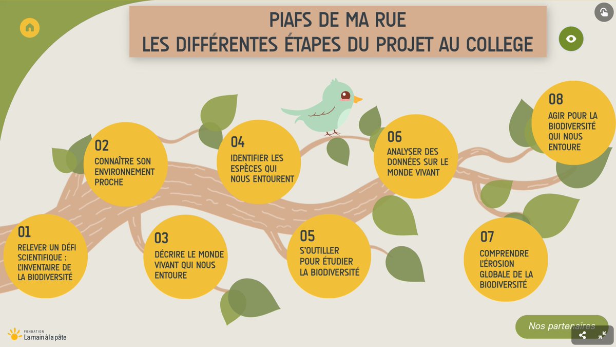 Pour un survol de la ressource au cœur du projet : 
view.genially.com/6666aa62200d88…