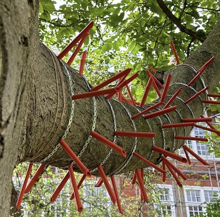 The London Group (@thelondongroup1) on Twitter photo LANDSCAPES -
The London Group Sculpture exhibition opens tonight, the church yard @stjohnswaterloo London SE1
Open daily 11 July - 11 Aug. Free entry
More info on our website and <a href="/Waterloofestiv/">Waterloo Festival</a>
⬇️Spirali by #PaulBonomini
@SculptorPaul LANDSCAPES -
The London Group Sculpture exhibition opens tonight, the church yard @stjohnswaterloo London SE1
Open daily 11 July - 11 Aug. Free entry
More info on our website and <a href="/Waterloofestiv/">Waterloo Festival</a>
⬇️Spirali by #PaulBonomini
@SculptorPaul