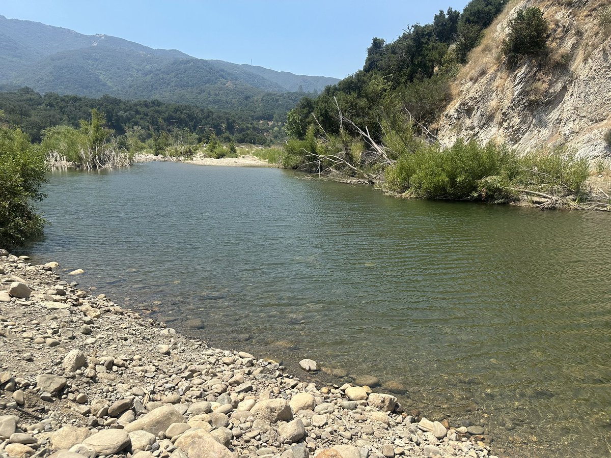 DrLuisParada's tweet photo. Estamos en nuestro Campamento Familiar Anual, en Sage Hill Campground, Santa Barbara. Aunque hay un incendio forestal cerca de nosotros, gracias a Dios, no nos ha afectado. Las familias se han divertido bastante bañándose, jugando, comiendo, etc… Oren por nosotros por favor.🙏 https://t.co/yZaVlLPNiU