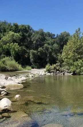 DrLuisParada's tweet photo. Estamos en nuestro Campamento Familiar Anual, en Sage Hill Campground, Santa Barbara. Aunque hay un incendio forestal cerca de nosotros, gracias a Dios, no nos ha afectado. Las familias se han divertido bastante bañándose, jugando, comiendo, etc… Oren por nosotros por favor.🙏 https://t.co/yZaVlLPNiU
