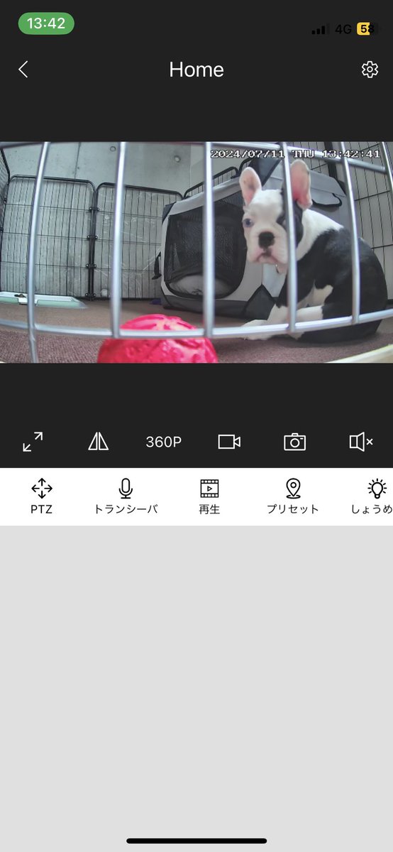 s_focusus's tweet photo. ＼(^o^)／ https://t.co/iNc4Dsk3GL
