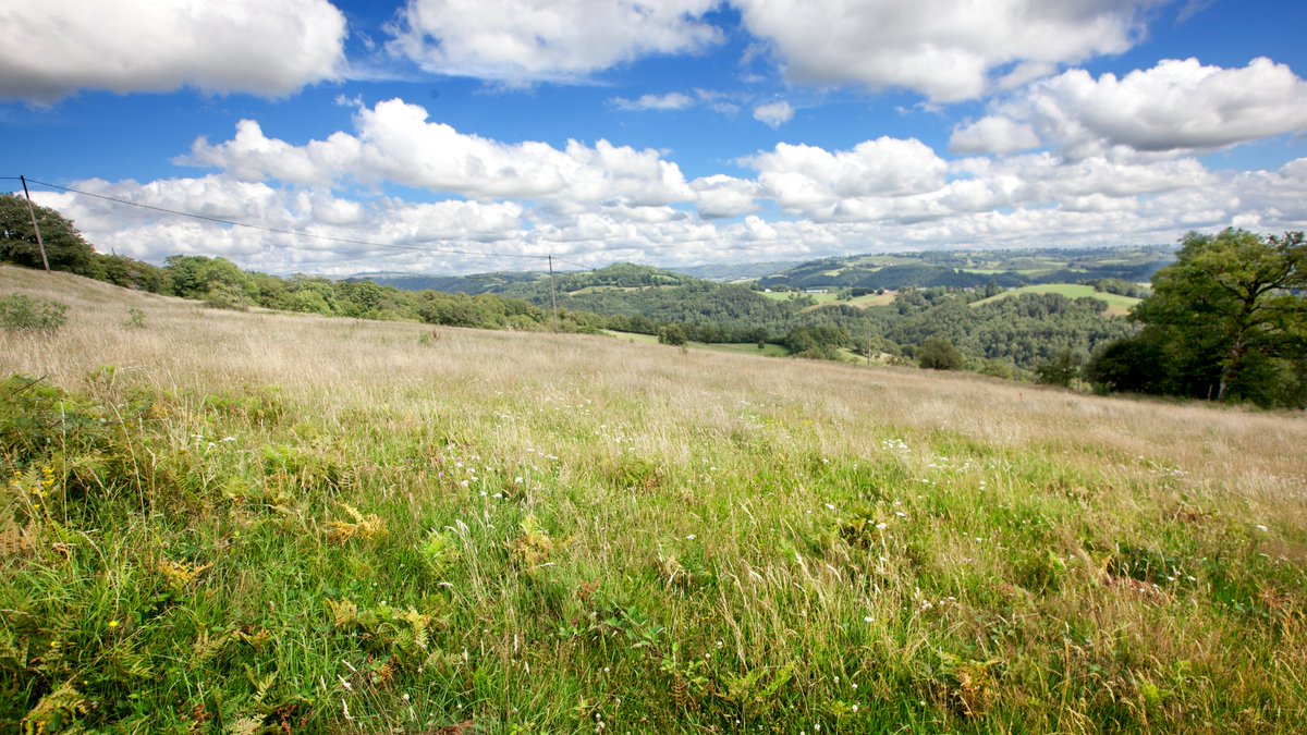 Interbev tweet media