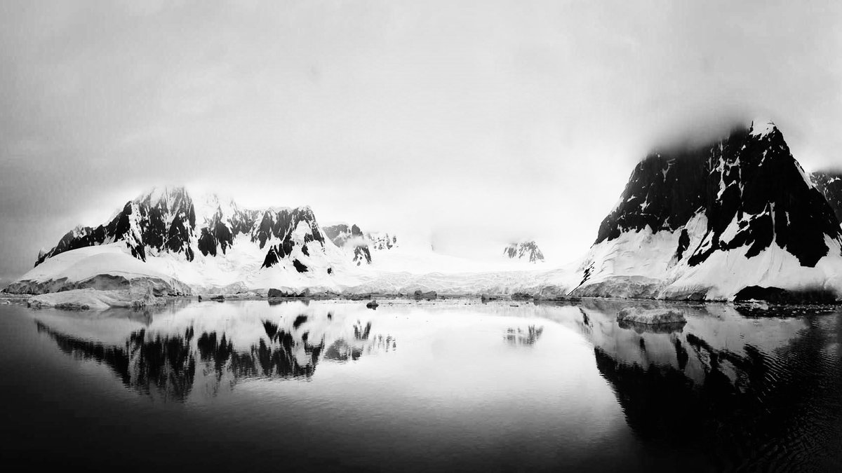 RachelSTWood's tweet photo. I am a photographer 

and these are photos I took around the world 

River fishing in Vietnam 
Baby Humpback whale in Moorea, Tahiti 
Lavender field in Oregon, USA
Lamaire Channel in Antarctica https://t.co/LUYn3L1B1a