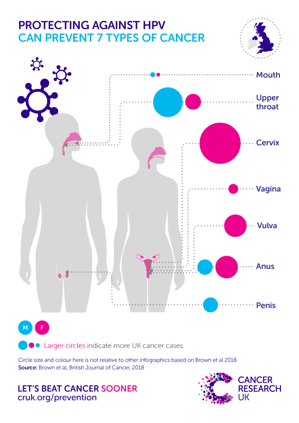 Fact Check: Human papillomavirus (HPV) is responsible for 60% of penile cancer cases and more than 90% of cervical cancer cases.

~Vaccinate both your son and daughter to protect them against these cancers later in life.