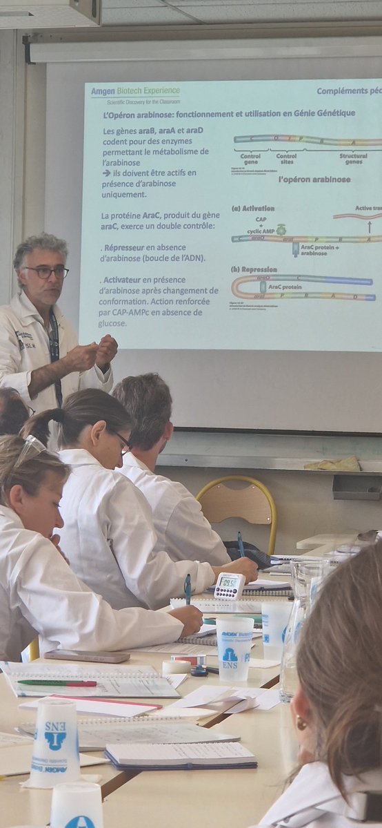 An overview of our teachers doing experiments during our PDI🥰

Many thanks to Corinne Blugeon (<a href="/Genomique_ENS/">GenomiqueENS</a>), Sabine Vignand and Thierry Rose (<a href="/institutpasteur/">Institut Pasteur, since 1887</a>) for sharing about their work

<a href="/ABEProgOffice/">Amgen Biotech Experience (ABE) Program Office</a> <a href="/SabriCol94/">Sabrina Colasse</a>
