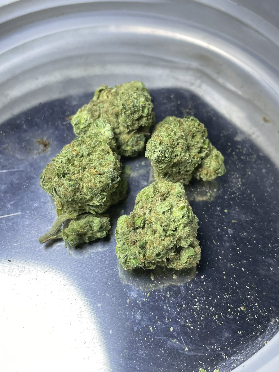 Zito 🐐💨🎖️ tweet media