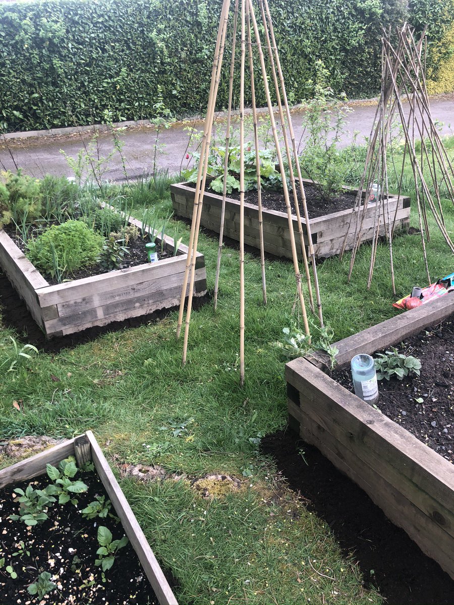 Sampadoodle's tweet photo. Before we moved out to our smallholding, I kept a vegetable patch, in our front garden. Lawn lacks wildlife diversity and has zero nutritional value for humans. It’s time for most people to have a rethink! #foodnotlawn #vegetablepatch #growyourown #selfreliance https://t.co/AmUQvVRUKZ