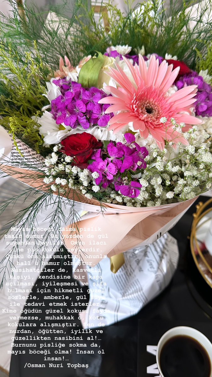 Nursema Bengi Bal (@benginursema) on Twitter photo 