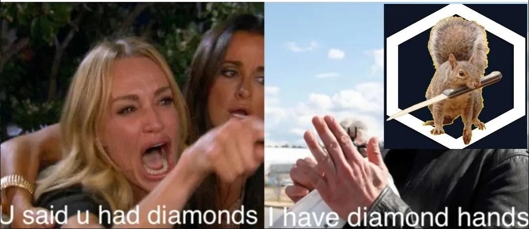 squirrel with knife tweet media