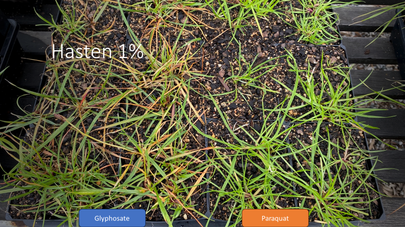 Roberto Busi tweet media