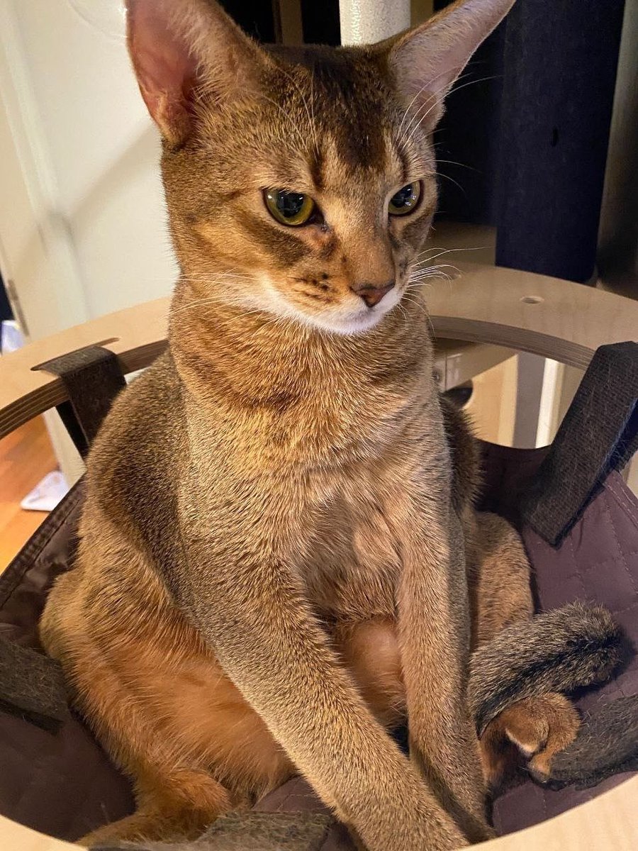 ลีออนเค้าเชื่อว่าเค้าเป็นคนจริง ๆ นะมึง