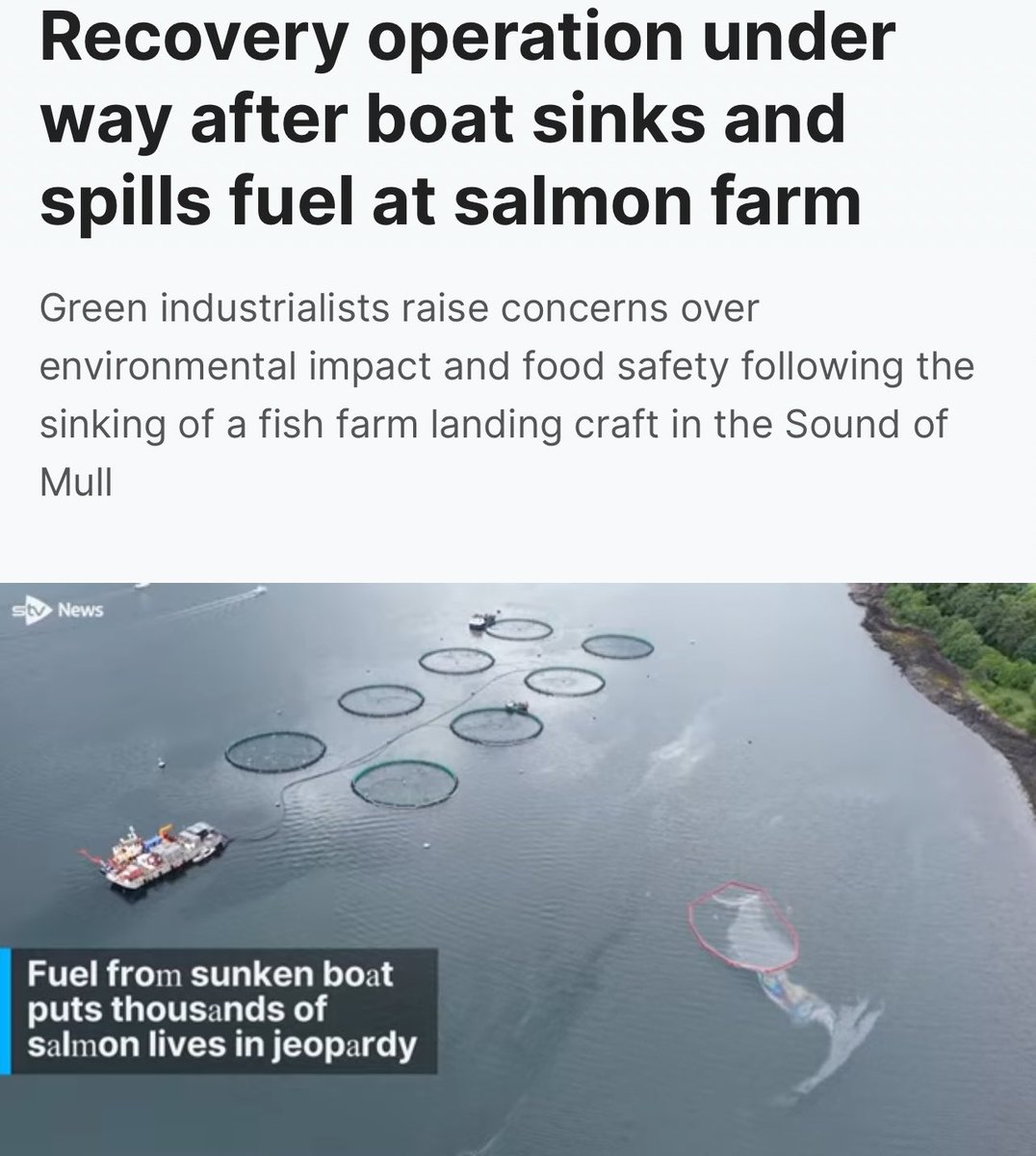 Scottish Sea Farms have we estimate about 2 million kg of salmon on this farm hit with fuel leak. Worth about £10millon+ 

Get ready for diesel flavoured salmon in your nearest <a href="/marksandspencer/">M&S</a> in the near future.

1 portion of oily fish is good for you?

news.stv.tv/west-central/r…