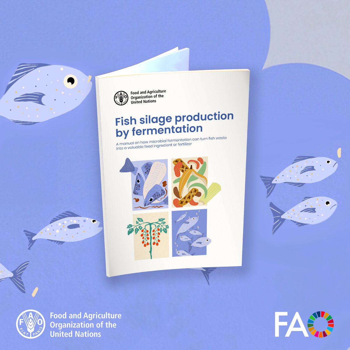 Fisheries & Aquaculture (@faofish) on Twitter photo This <a href="/FAOFish/">Fisheries & Aquaculture</a> practical manual shows how to produce fish silage by fermentation.
Read it and learn how to turn fish processing by-products into valuable resources, reducing waste and supporting efficient value chains 👉 doi.org/10.4060/cd0799…
#BlueTransformation
#COFI36 This <a href="/FAOFish/">Fisheries & Aquaculture</a> practical manual shows how to produce fish silage by fermentation.
Read it and learn how to turn fish processing by-products into valuable resources, reducing waste and supporting efficient value chains 👉 doi.org/10.4060/cd0799…
#BlueTransformation
#COFI36