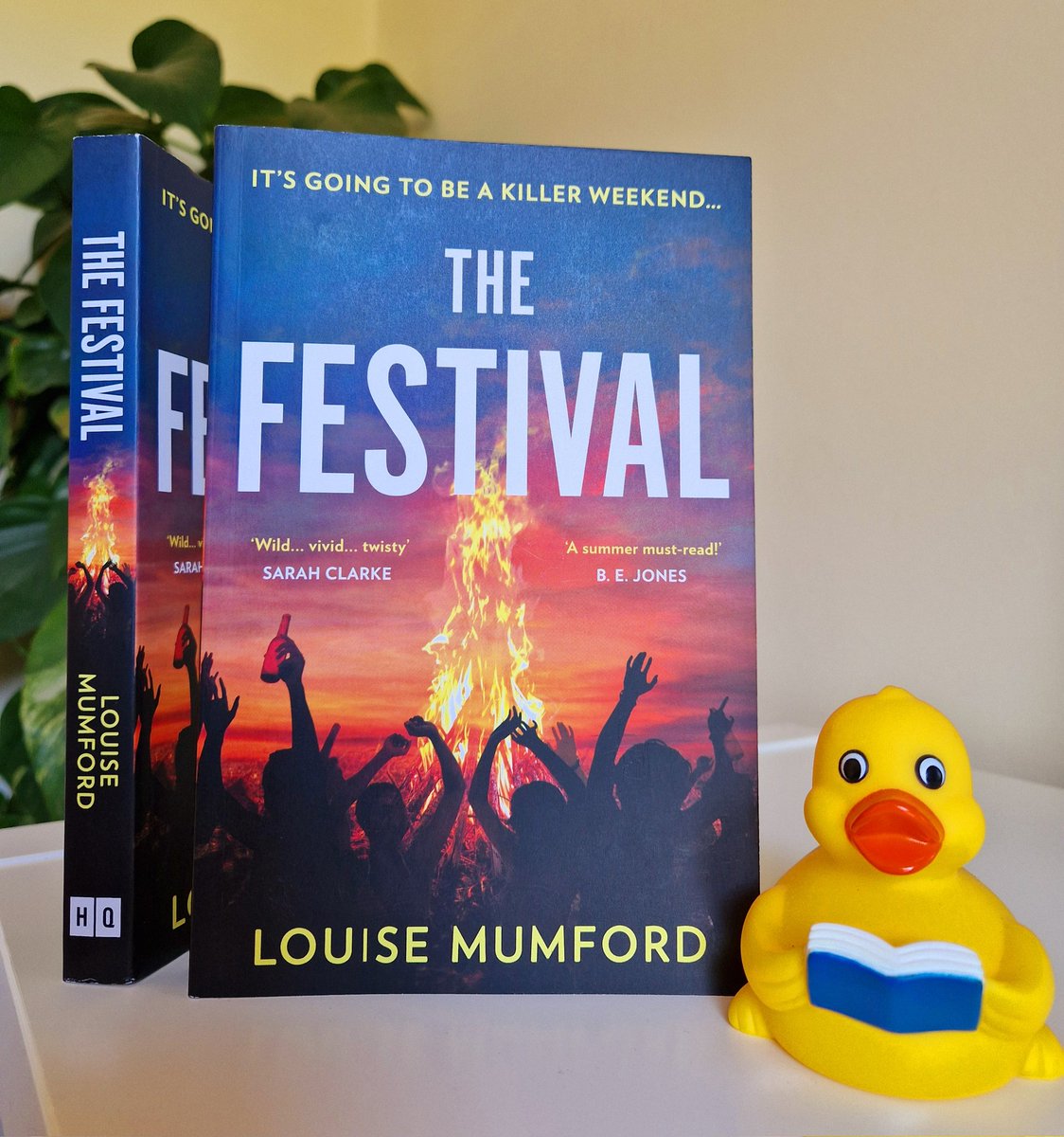 I think it's time for a #bookgiveaway! My new thriller #TheFestival doesn't come out in paperback until 1st Aug BUT you can win an early copy AND your very own Septimus rubber duck! To enter:
🔥Like this post
🔥Repost
🔥Follow me