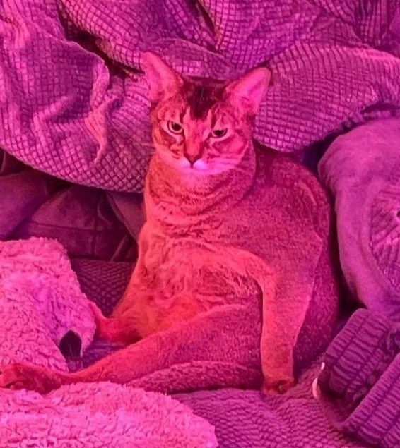 รูปโปรไฟล์                                     แม่แท็ก