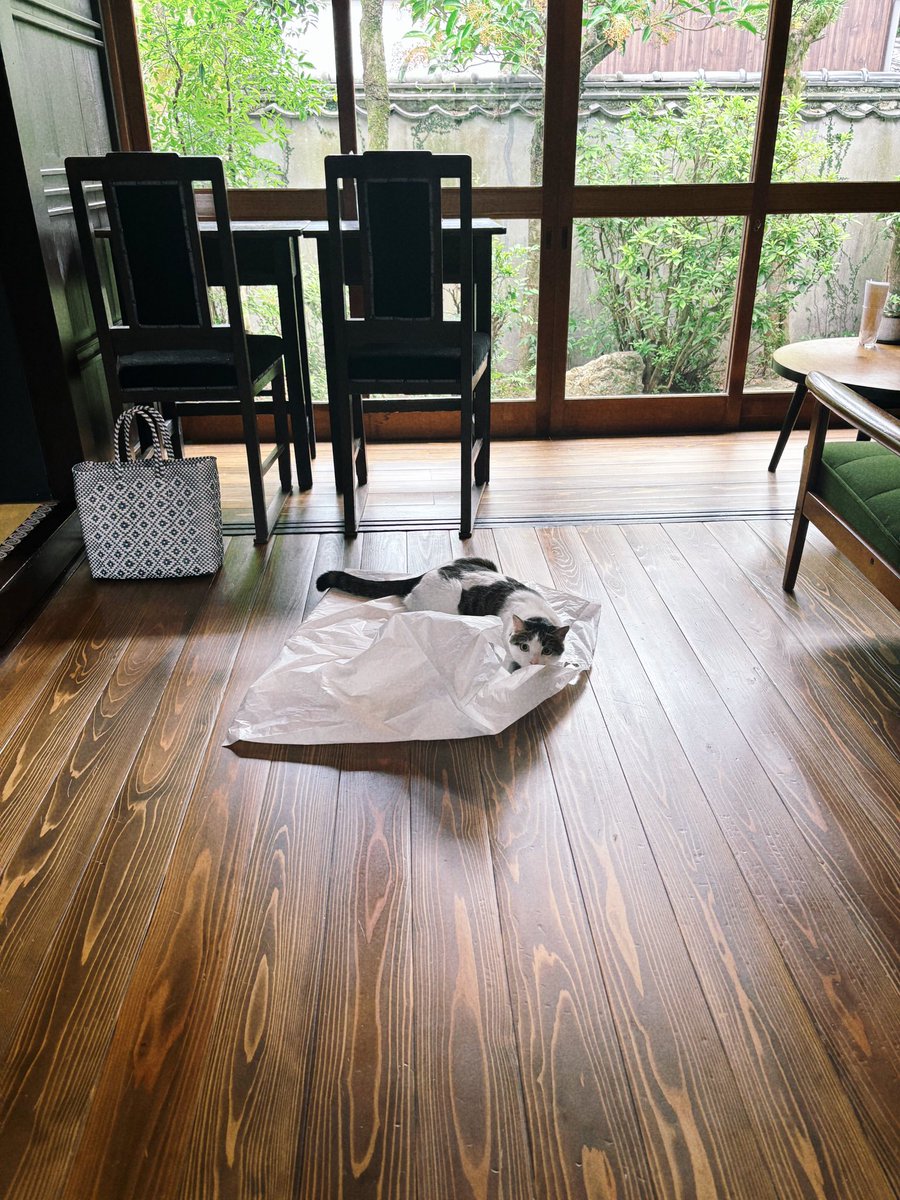 山田歩乃歌 tweet media