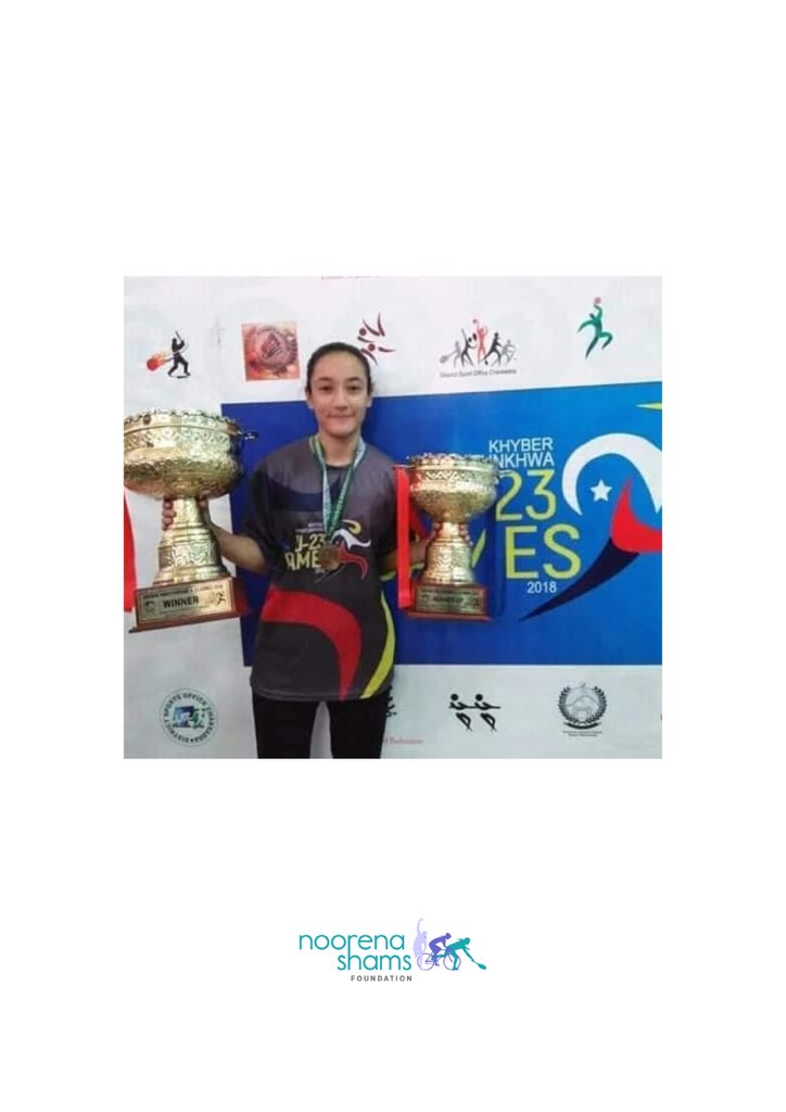 noorenashamsfoundation tweet media