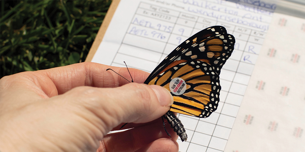 2e édition de l’appel à projets « Science avec et pour la société – Recherches participatives 2 », ouvert à toutes les disciplines académiques #SAPS : l’#ANR organise un webinaire d’information le 18/07 à 15h.
Pour s’inscrire : anr.webex.com/weblink/regist…