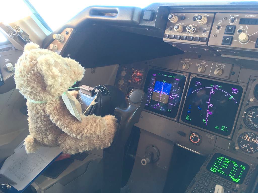 bearforceofficial tweet media