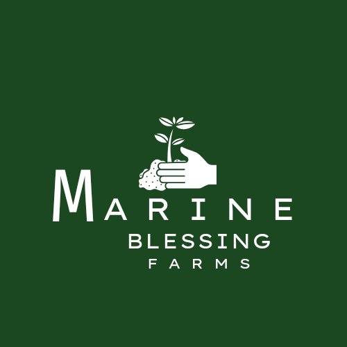 MarineFarm79532's tweet photo. Marine Blessing Farms -
Our mission is to provide our community with fresh,nutritious produce while promoting environmental stewardship and social responsibility. https://t.co/nhlOqvjNLs