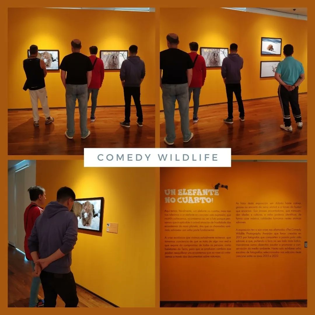Asfedro (@asfedro) on Twitter photo Fumos visitar a Exposición Comedy Wildlife,na <a href="/Afundacion_org/">Afundación</a> .Dentro do programa de Dinamización do Tempo Libre e Lecer Saudable, subvencionado pola <a href="/Depucoruna/">Deputación da Coruña</a> través do programa FOAXE-C 2024 cun importe de 39.890,56€, o que supón unha porcentaxe de cofinanciamento do 75,80%. Fumos visitar a Exposición Comedy Wildlife,na <a href="/Afundacion_org/">Afundación</a> .Dentro do programa de Dinamización do Tempo Libre e Lecer Saudable, subvencionado pola <a href="/Depucoruna/">Deputación da Coruña</a> través do programa FOAXE-C 2024 cun importe de 39.890,56€, o que supón unha porcentaxe de cofinanciamento do 75,80%.