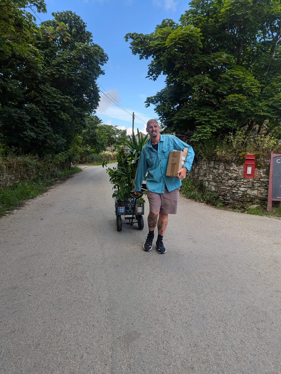 CHAOSDigitalUK's tweet image. Thank you to @ChaosFarmUK for this great delivery this morning! 🪴

As you can tell, resident plant expert @henrose21 is over the moon 😅

#KeepItCHAOS #KeepItGreen