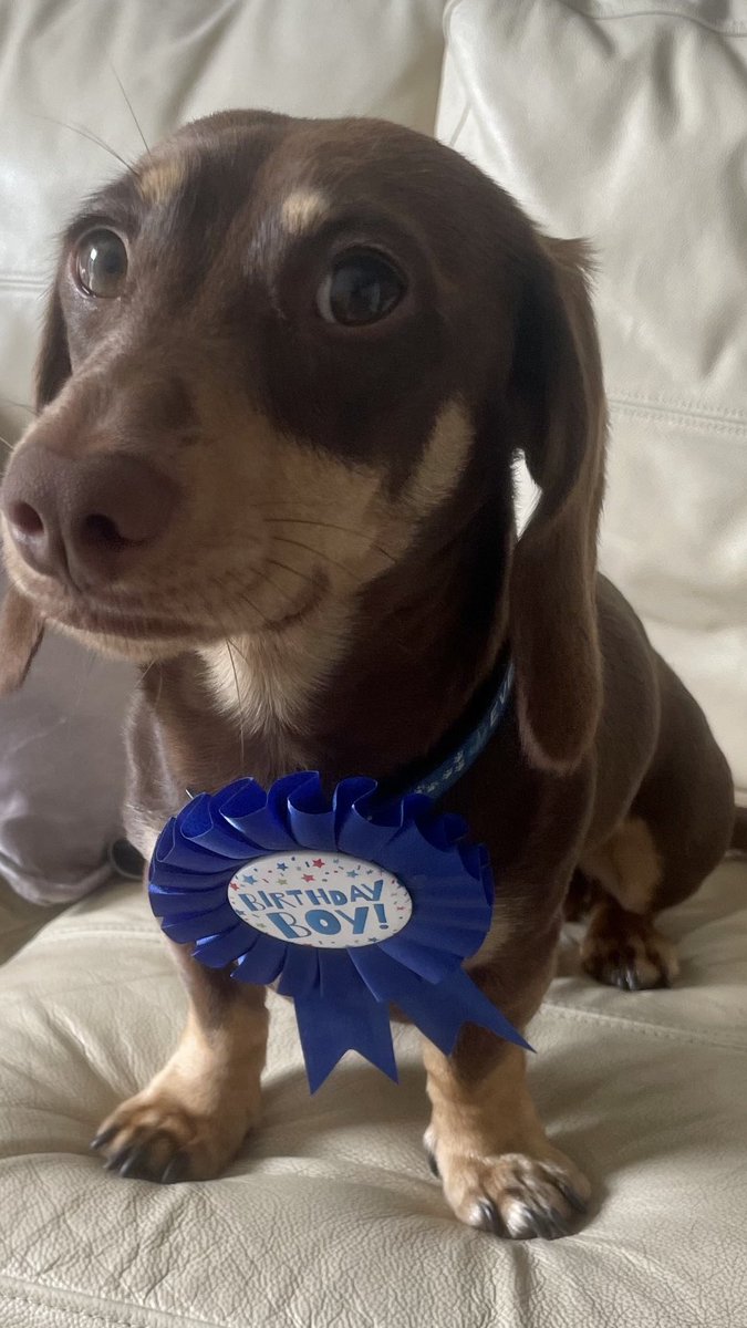 My Duncan is 4 today, I love him so much 💙