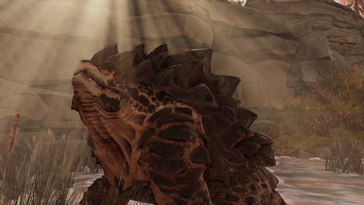 Bethesda_UK's tweet photo. What's your fav creature in Fallout 76? 👀

Bonus point: Show us your pics 👏

📸 @FalloutFrosty and @egyptianruin https://t.co/P9Gcd0bW5K